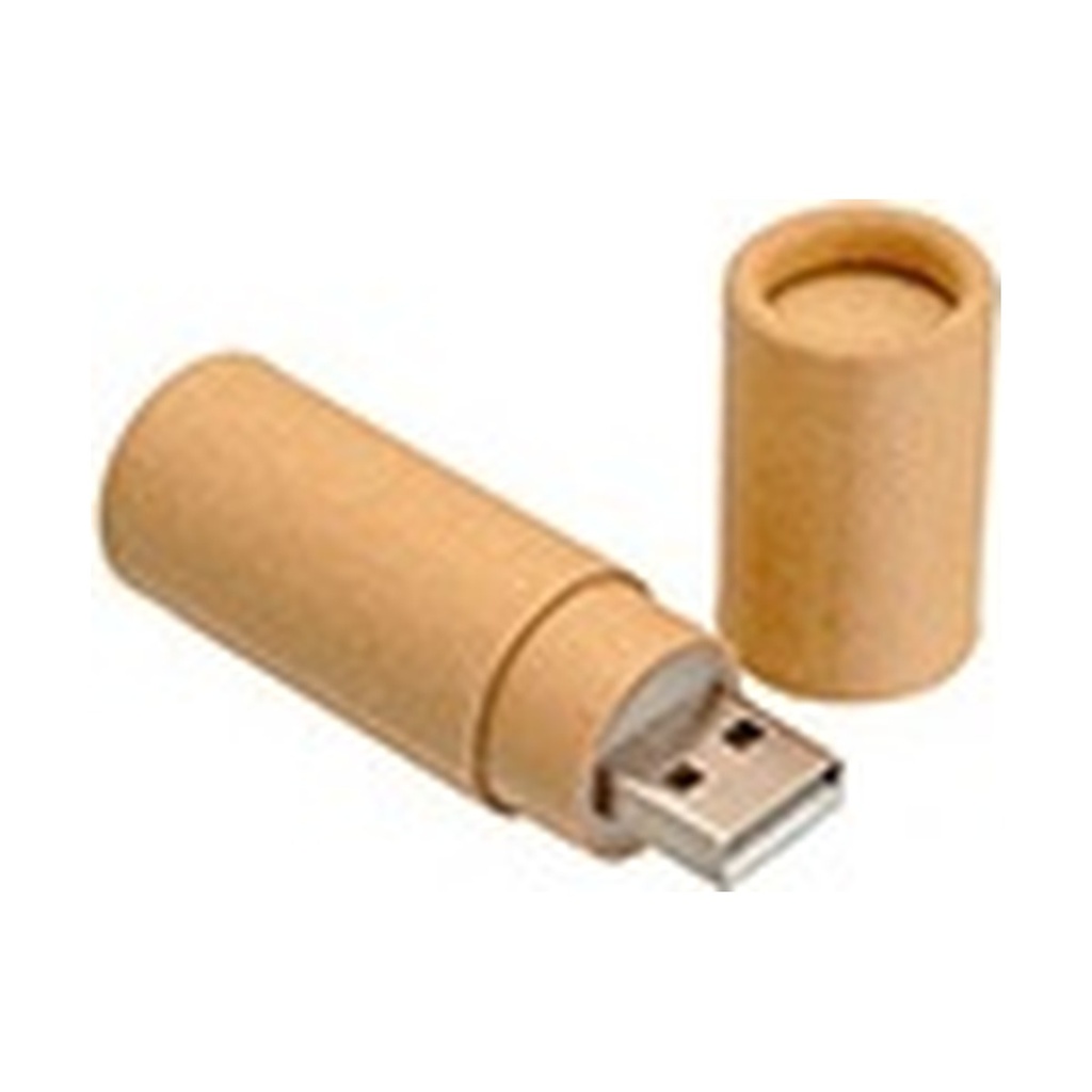 Memoria Usb Ecológico 4Gb